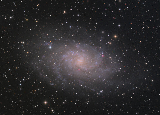 M 33