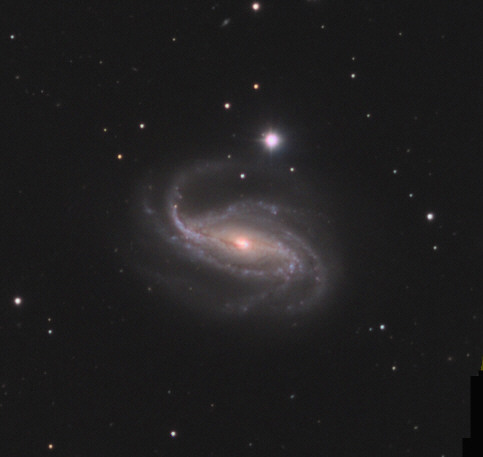 NGC 613